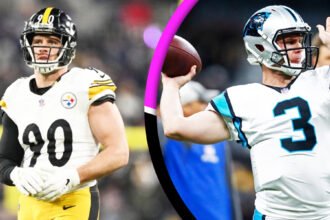 Pittsburgh Steelers vs Carolina Panthers Match Player Stats