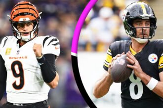 Bengals vs Pittsburgh Steelers Match Player Stats