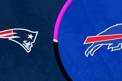 New England Patriots vs Buffalo Bills Match Player Stats