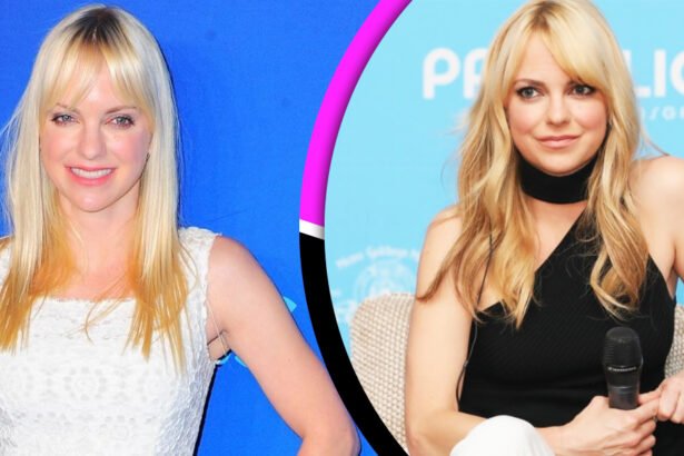 Anna Faris Net Worth