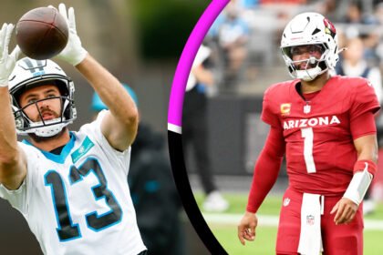 Carolina Panthers vs Arizona Cardinals Match Player Stats