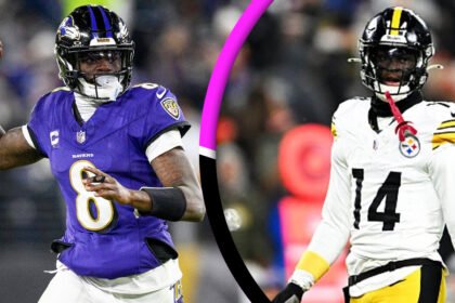 Baltimore Ravens vs Pittsburgh Steelers Match Player