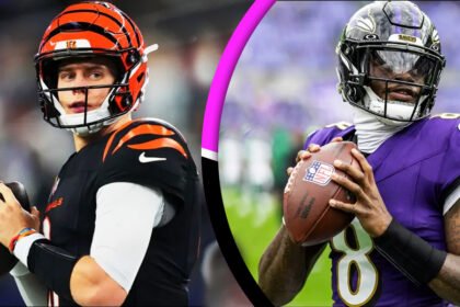Bengals vs Baltimore Ravens Match Player Stats