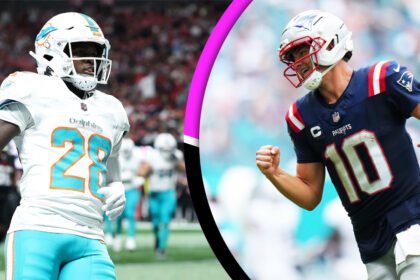 Miami Dolphins vs New England Patriots Match Player Stats