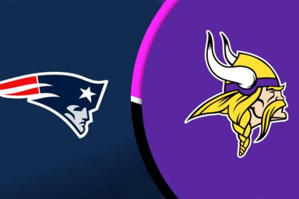 New England Patriots vs Minnesota Vikings Match Player Stats