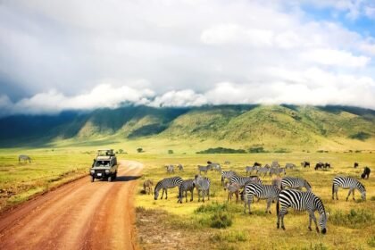 Visit Tanzania
